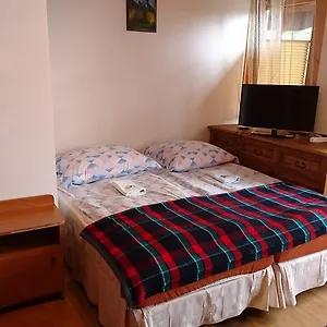 Проживание в семье Sfinks
